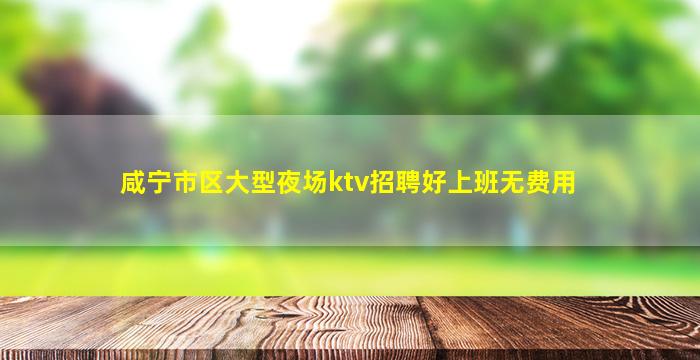 咸宁市区大型夜场ktv招聘好上班无费用
